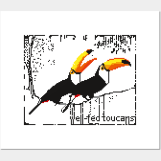 Well-fed toucans Posters and Art